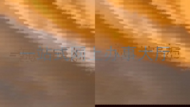 一站式网上办事大厅