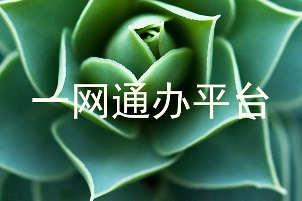 一网通办