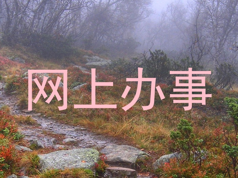 网上办事