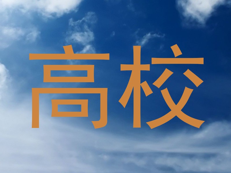 高校