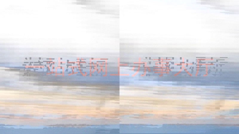 一站式网上办事大厅