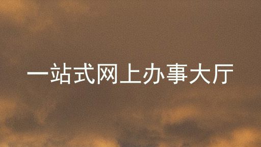 一站式网上办事大厅