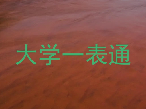 大学一表通