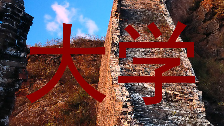 大学
