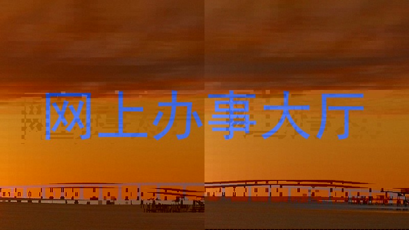 网上办事大厅
