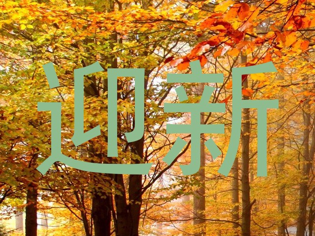 迎新