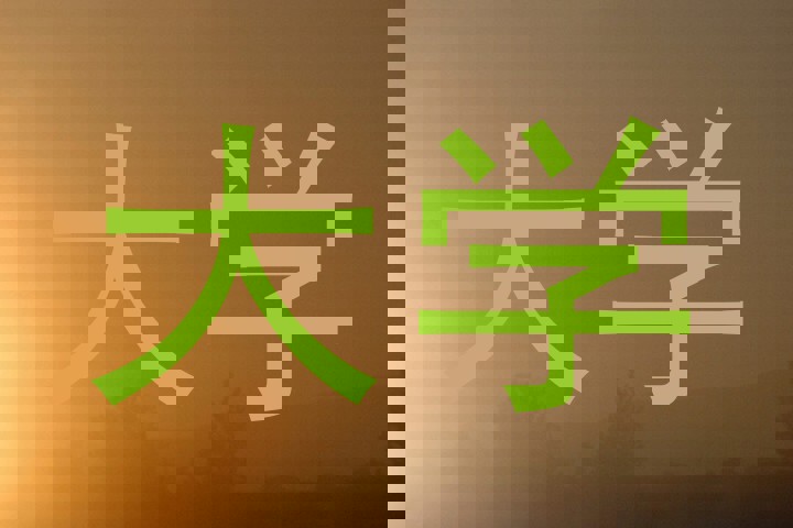 大学