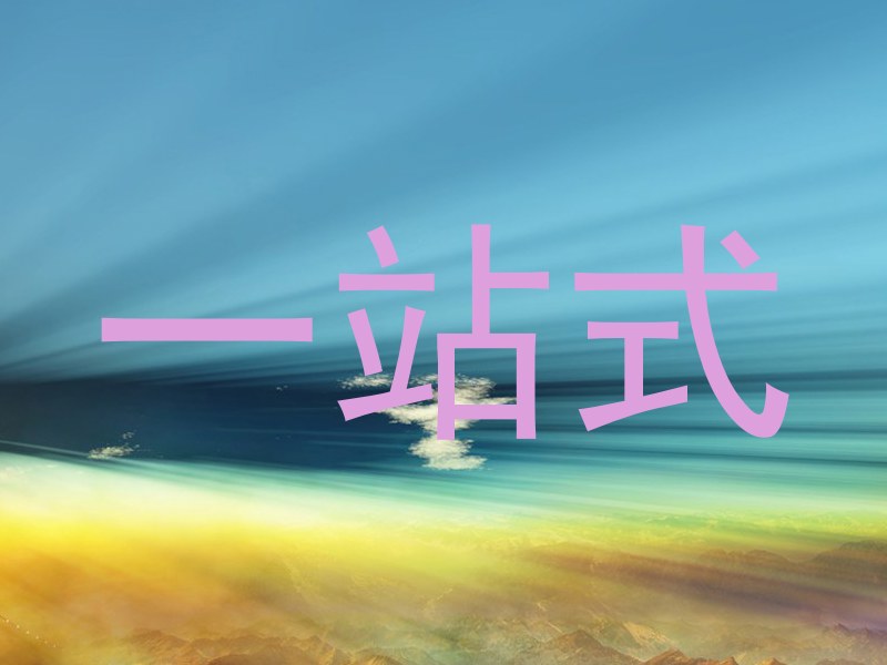 一站式