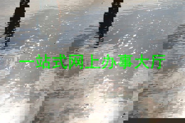 一站式网上办事大厅