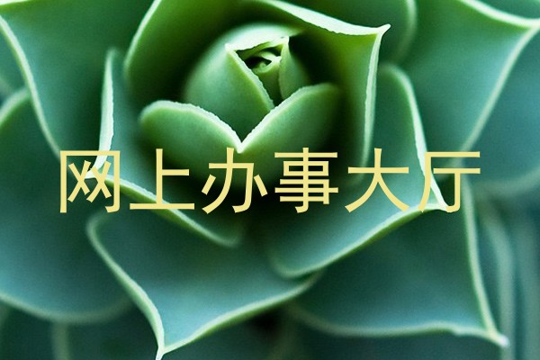 网上办事大厅