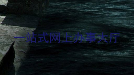 一站式网上办事大厅