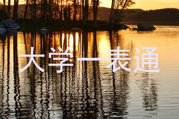 大学一表通