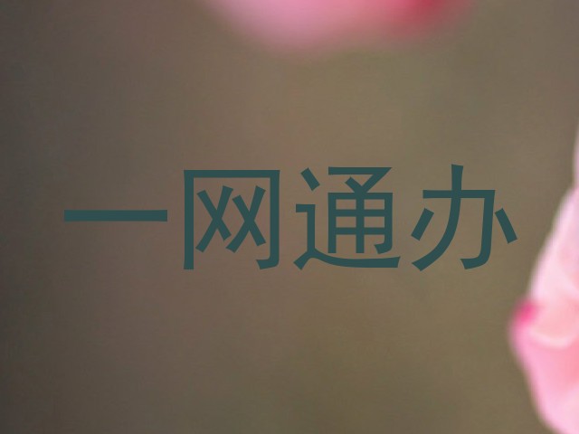 一网通办