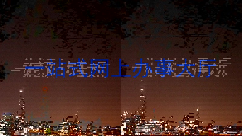 一站式网上办事大厅