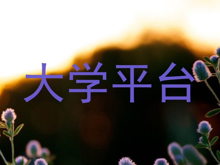 大学平台