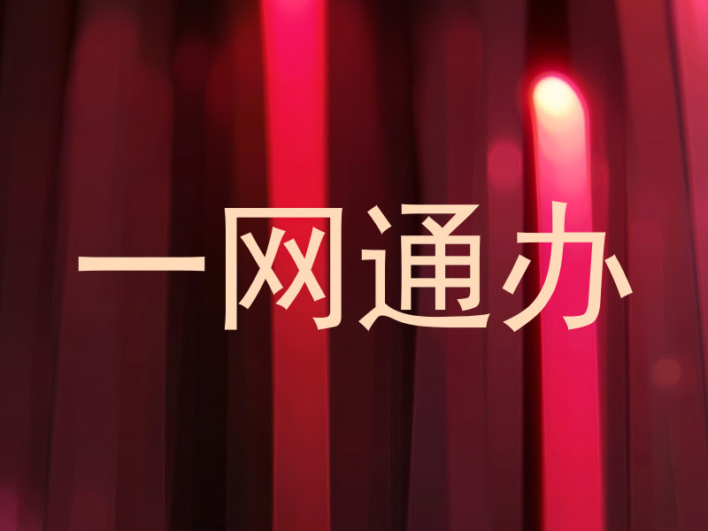 一网通办