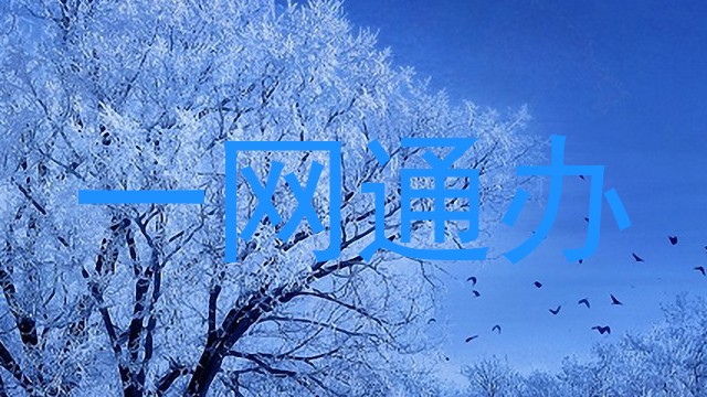 一网通办