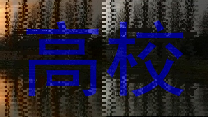 高校
