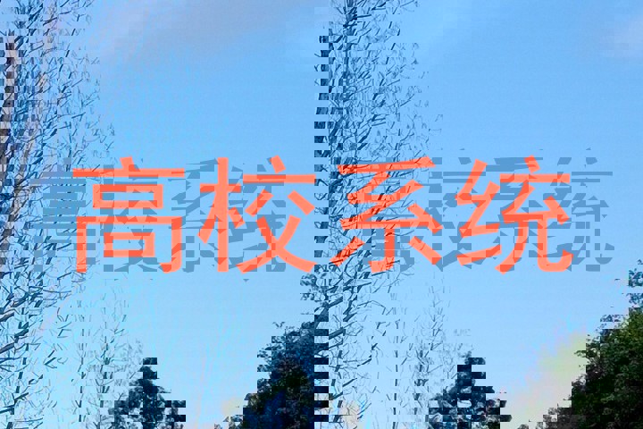 高校系统