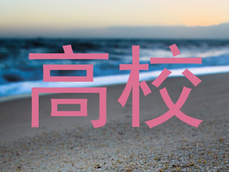 高校