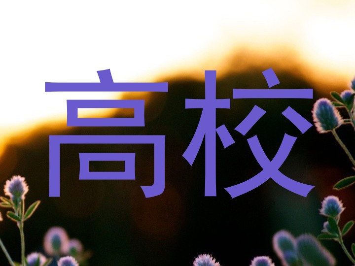 高校