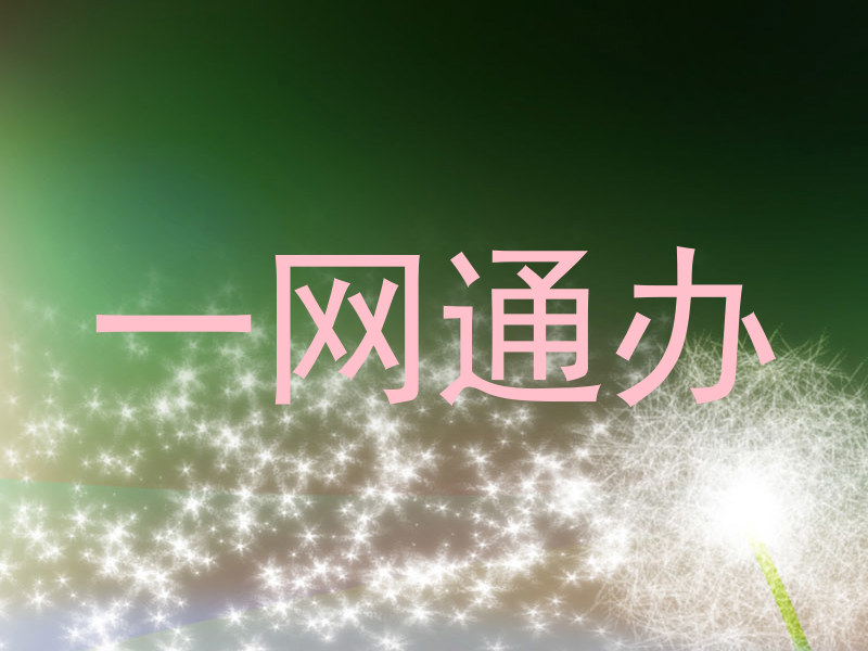 一网通办