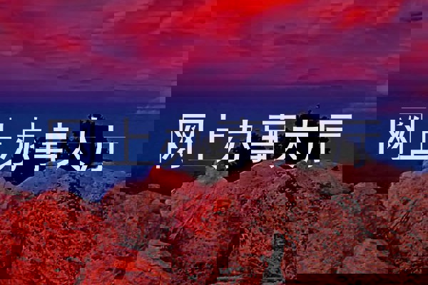 网上办事大厅