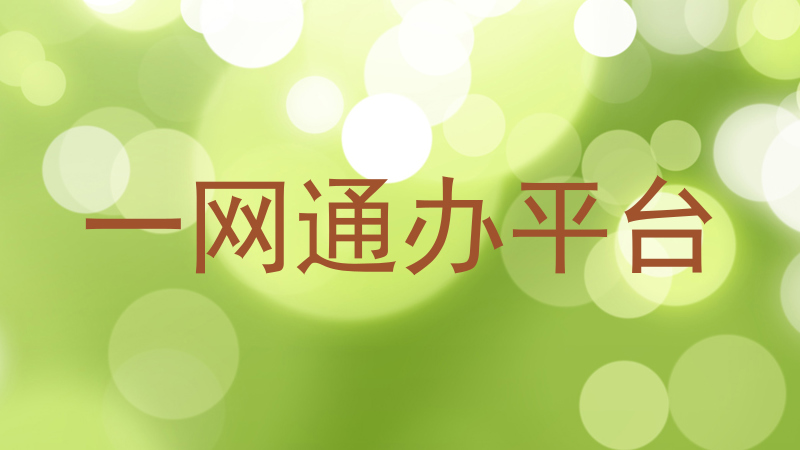 一网通办平台
