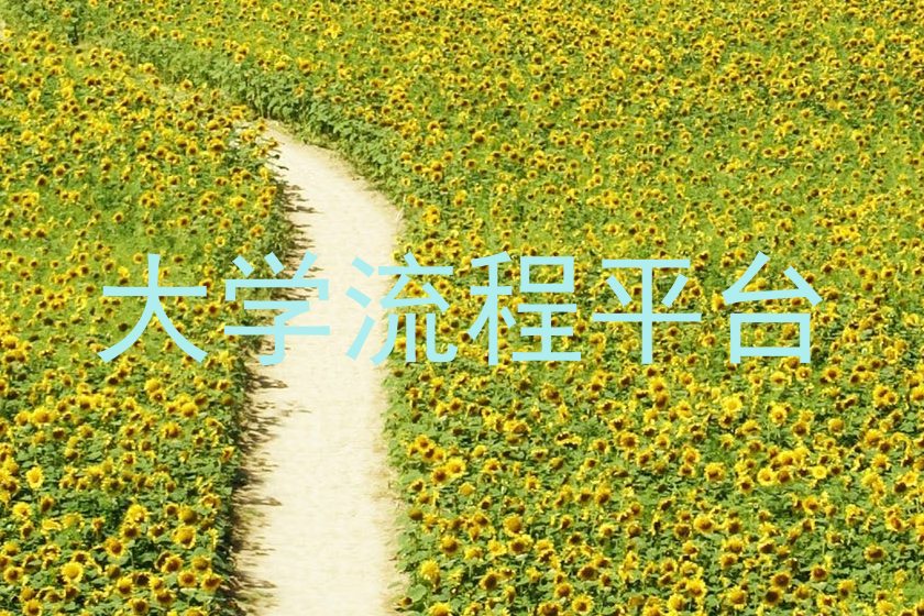 大学流程平台