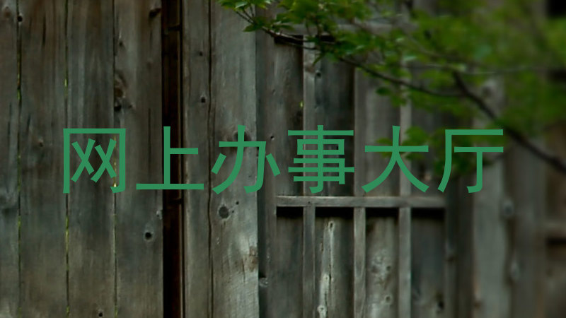 网上办事大厅