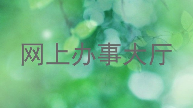 网上办事大厅