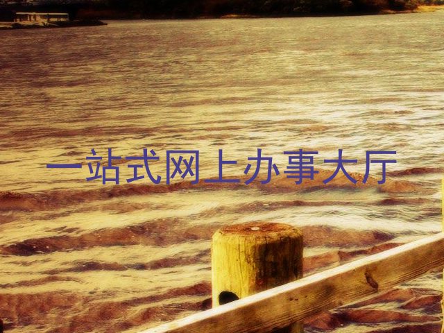 一站式网上办事大厅