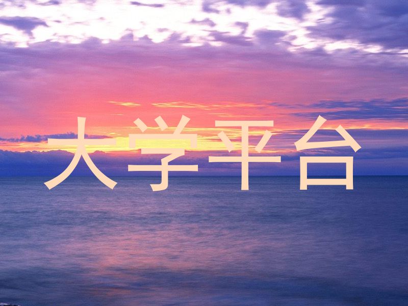 大学平台