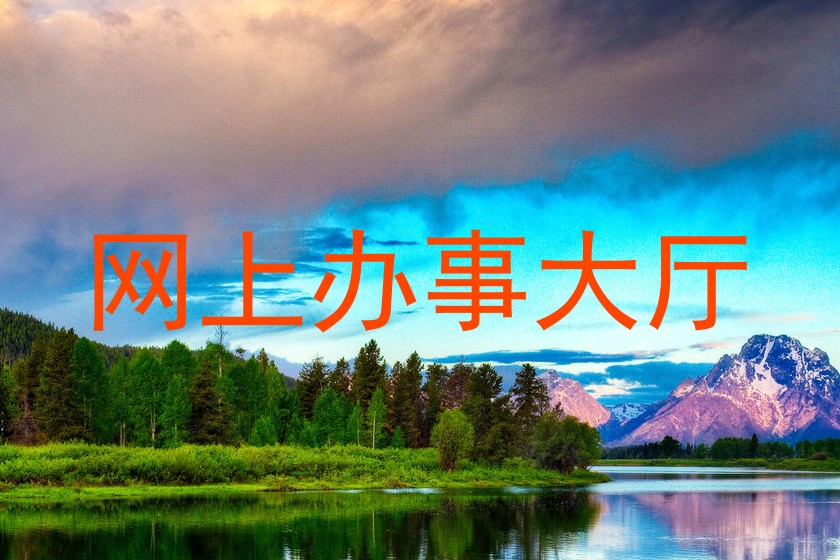 网上办事大厅