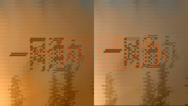 一网通办