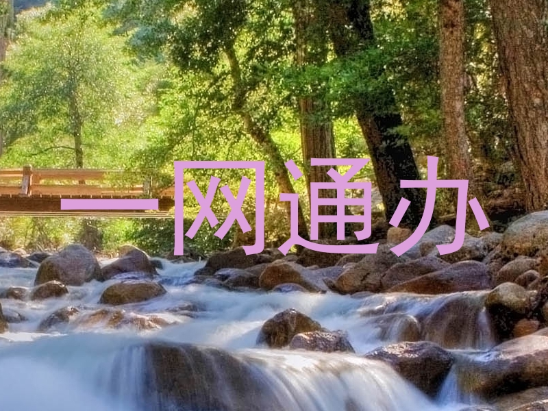 一网通办