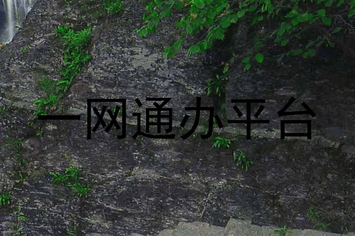 一网通办