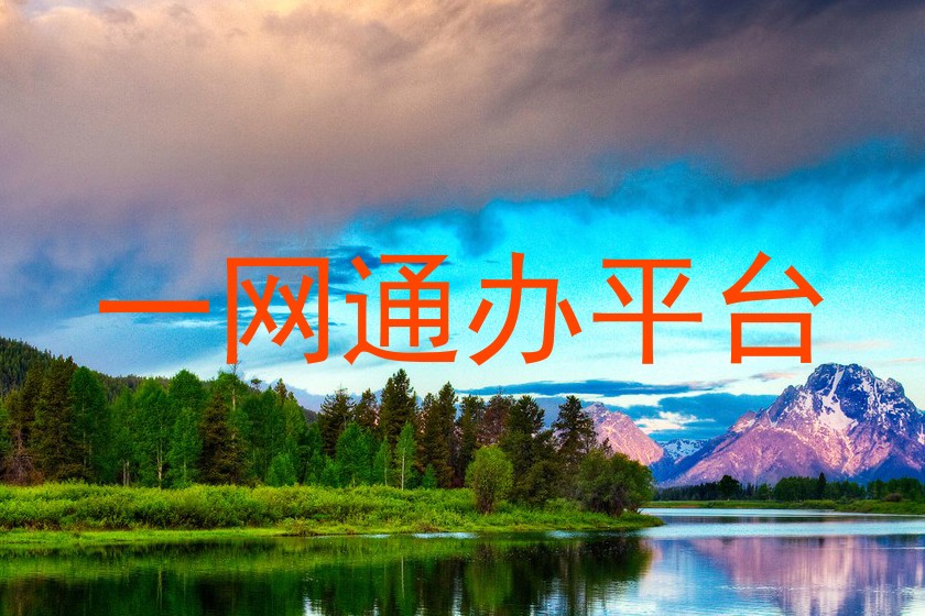 一网通办平台