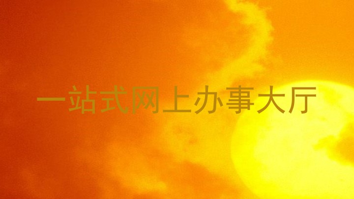 一站式网上办事大厅