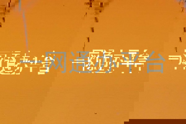 一网通办平台