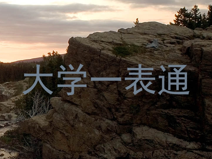大学一表通