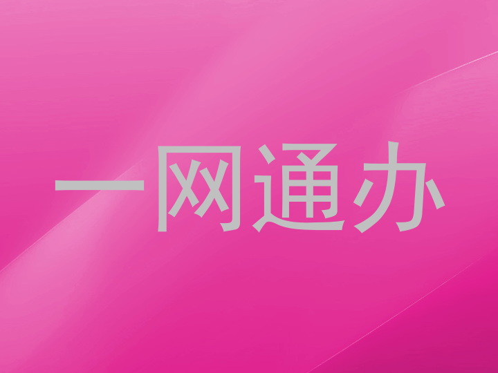 一网通办