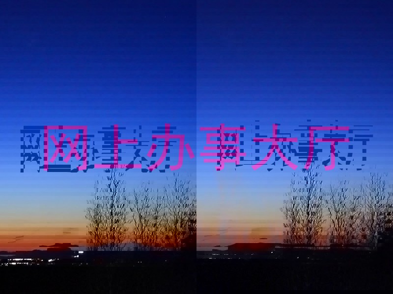 网上办事大厅