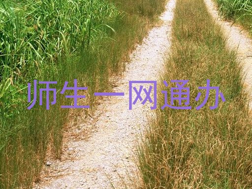 师生一网通办