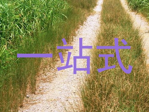 一站式