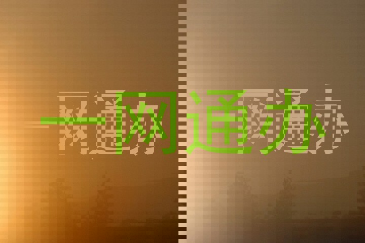 一网通办