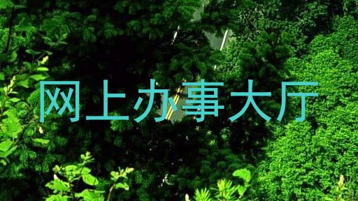网上办事大厅
