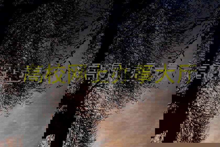 高校网上办事大厅
