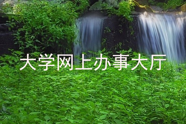大学网上办事大厅