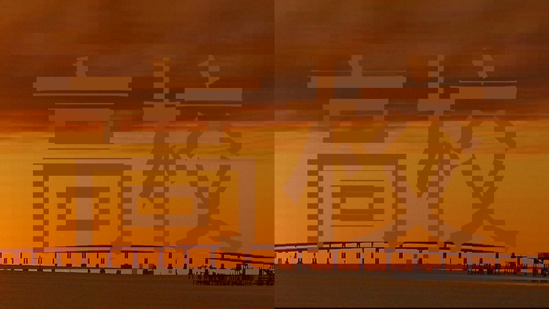 高校
